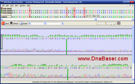 Screenshot of DNA BASER - affordable sequence assembly