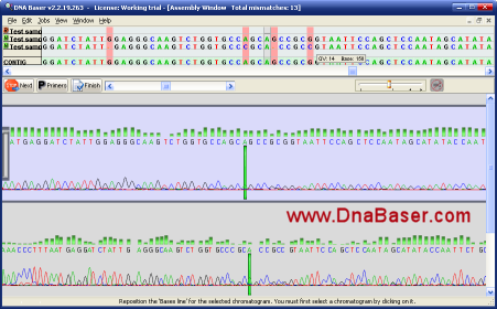 Screenshot of DNA BASER - affordable sequence assembly 2.0.0