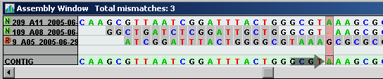 DNA contig assembly