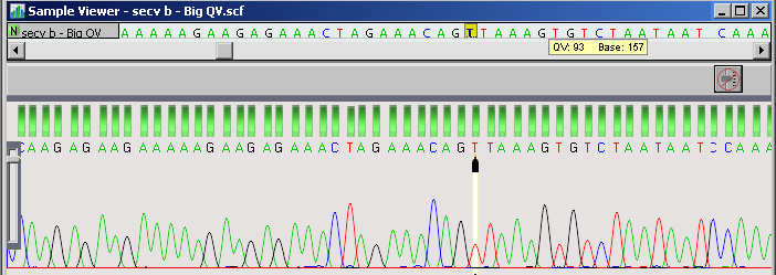 DNA chromatogram assembly