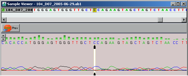DNA assembly download