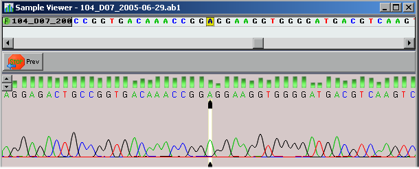 contig assembly software