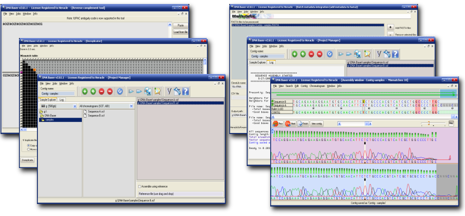 DNA sequence assembly, contig editing, mutation detection