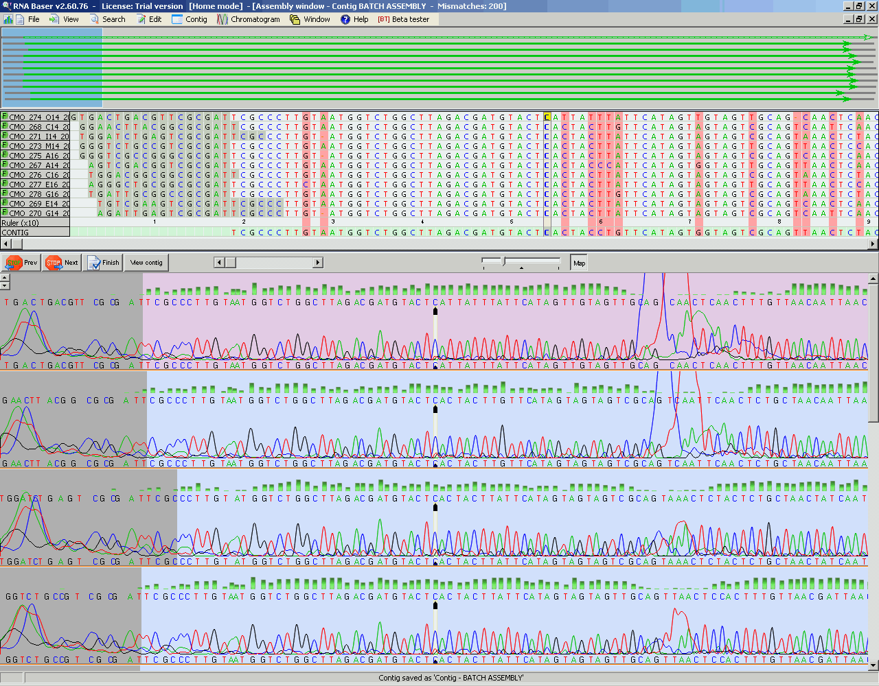 Single nucleotide polymorphism software